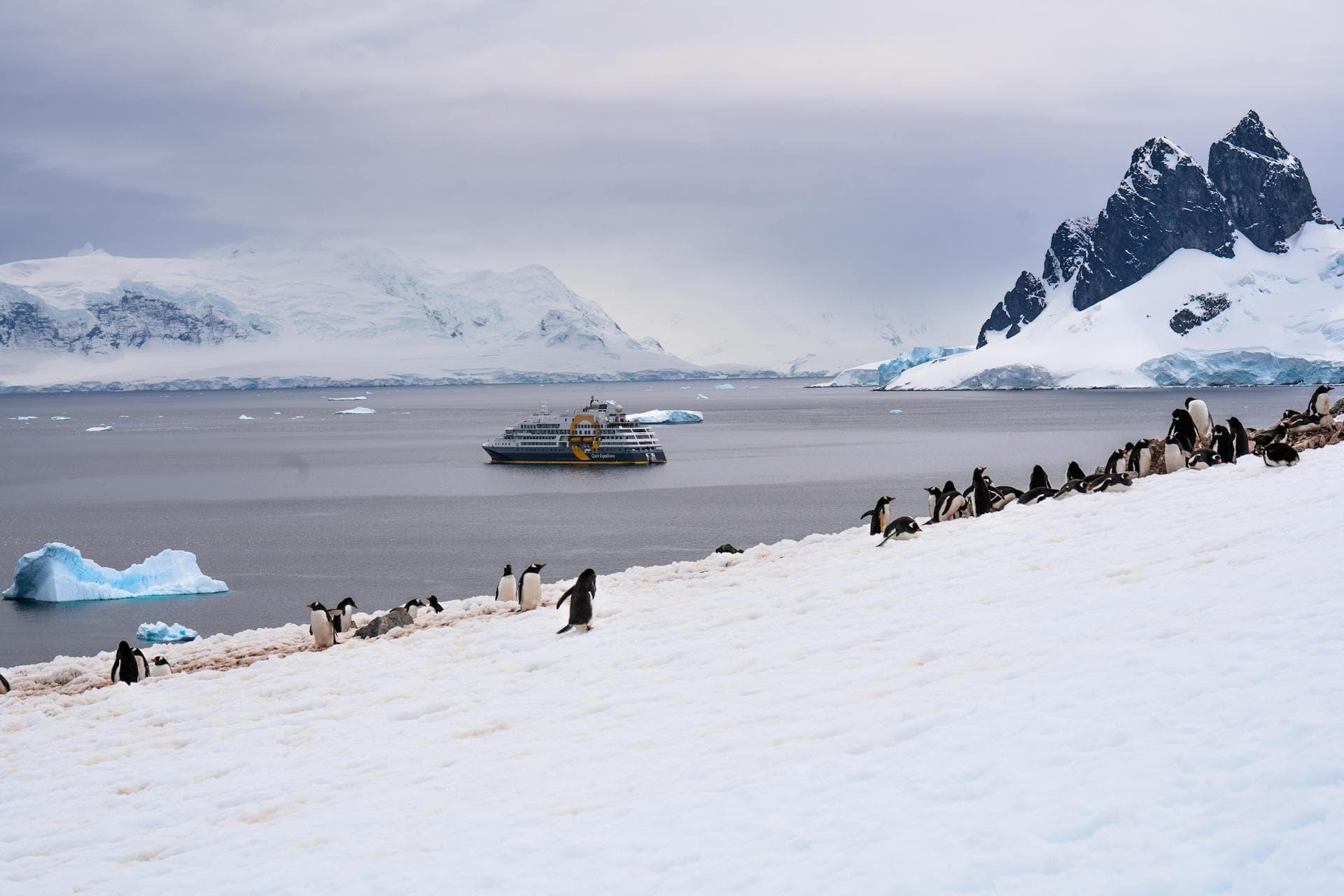 A small expedition vessel cruising past tabular icebergs in the Antarctic Peninsula with gentoo penguins on a foreground floe