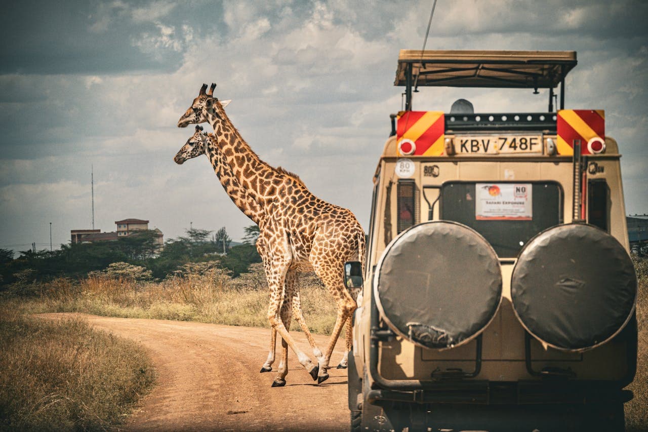Kenya safari landscape, Infinite Safari Adventures