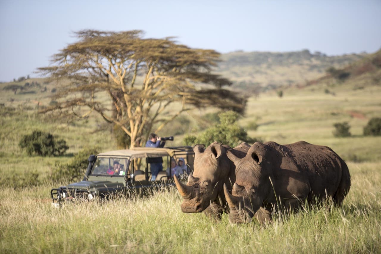 White rhinos beside a safari vehicle on an Artisans of Safari bespoke journey