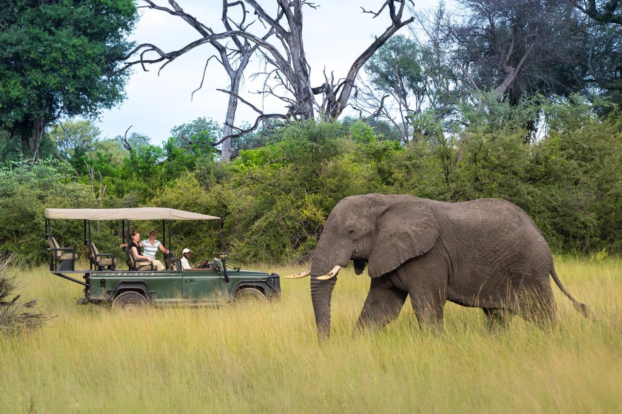 An elephant passing an open safari vehicle on an Artisans of Safari journey in Africa